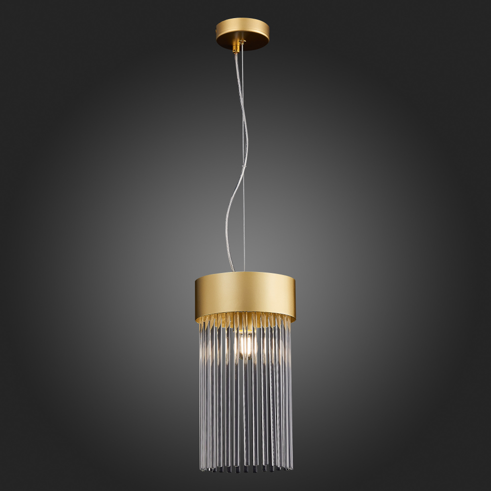 Светильник подвесной ST Luce Contatto SL1225.203.01