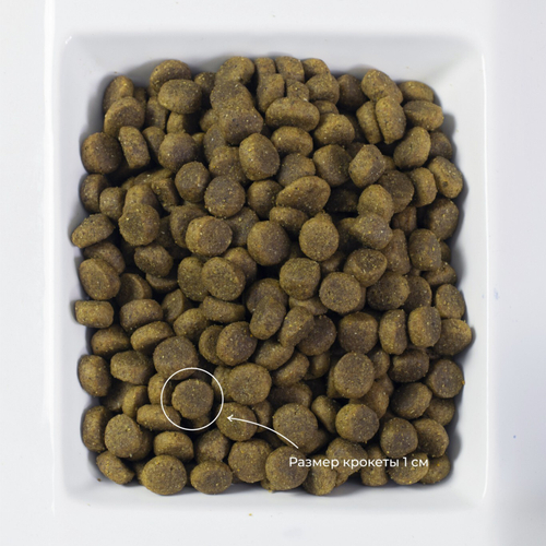 Livera корм сухой полнорационный для взрослых собак ягнёнок с рисом