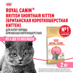 Royal Canin British Shorthair Kitten (БРИТАНСКАЯ КОРОТКОШЕРСТНАЯ КИТТЕН) Корм сухой сбалансированный для британских котят 2кг