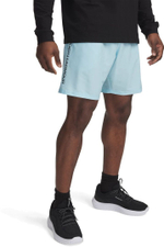 Шорты Under Armour UA Tech Woven Wordmark Short голуб