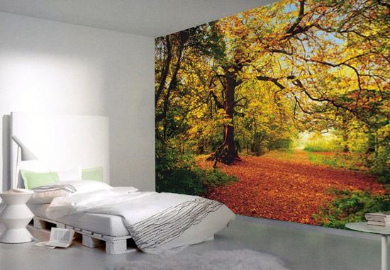 Фотообои 8 Autumn Forest 388*270см. 8-068