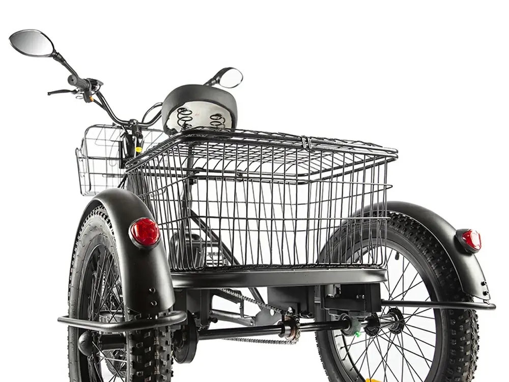 Электровелосипед GREEN CITY e-ALFA Trike (черный)