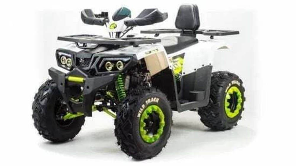 Квадроцикл MOTOLAND 200 Wild Track Lux ( Баланс. вал) (2021 Г.)