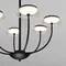 50388 LED / потолочный светильник / черный
