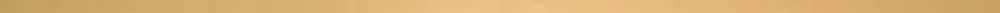 Metal gold atlas border 01 900х12 (1-й сорт)