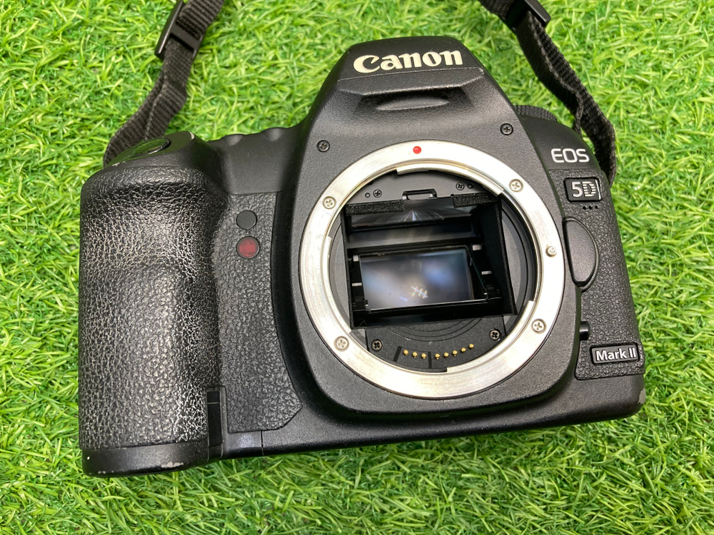 Canon EOS 5D Mark II
