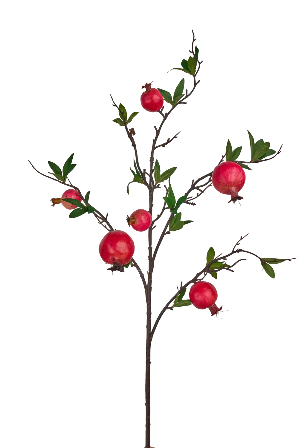 Ветка с гранатами