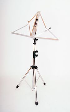 Пюпитр с чехлом Soundking DF049W