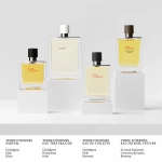 Hermes туалетная вода Terre d'Hermes, 100 мл, 100 г