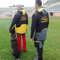 Костюм для дрессировщика Fordogtrainers «PROTECTIVE SUIT» из мембранной ткани.