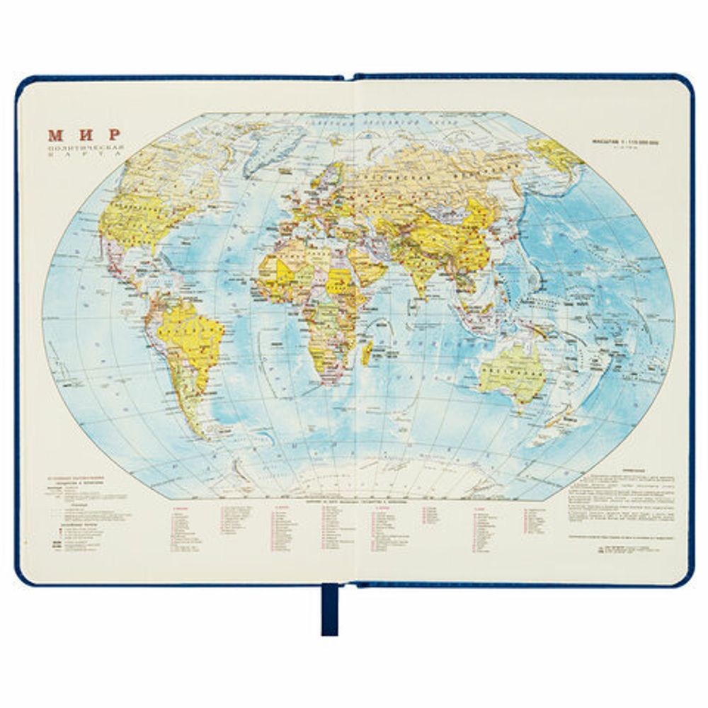 Ежедневник недатированный БОЛЬШОЙ ФОРМАТ 210х297мм А4, BRAUBERG Iguana, 160л, синий, 114451