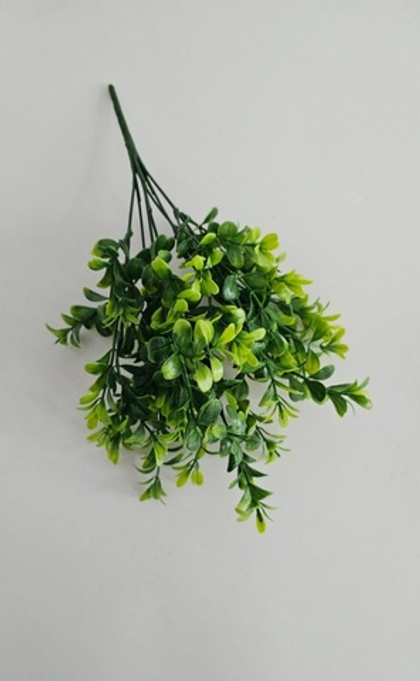 Куст самшит / Арт 5021