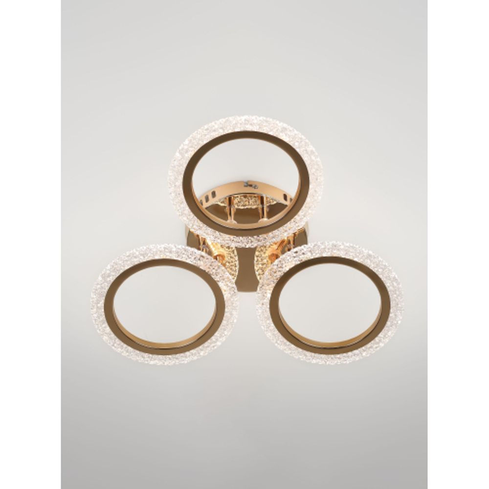 Светильник потолочный светодиодный Rivoli Evlalia 6178-703 LED 42Вт 3000-6000К с пультом | Rivoli