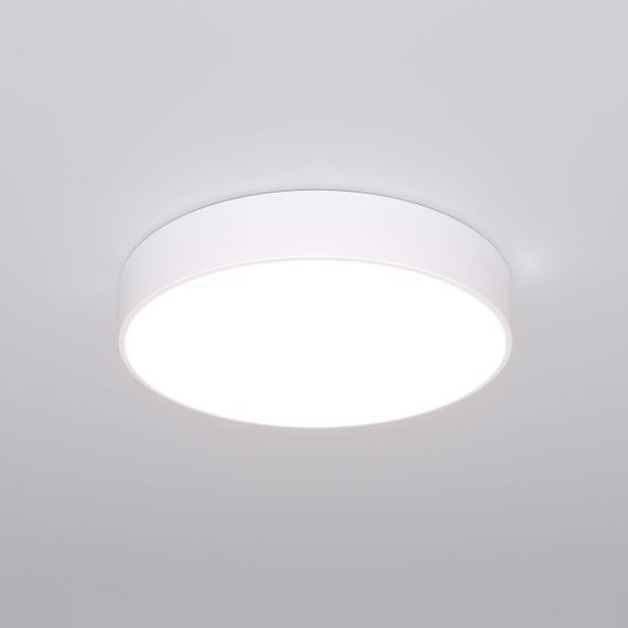 Потолочный светодиодный светильник Eurosvet Entire 90319/1 белый