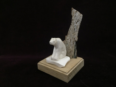 Белый медведь, визитница