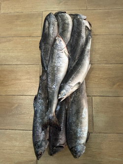 Горбуша с/м непотрошеная