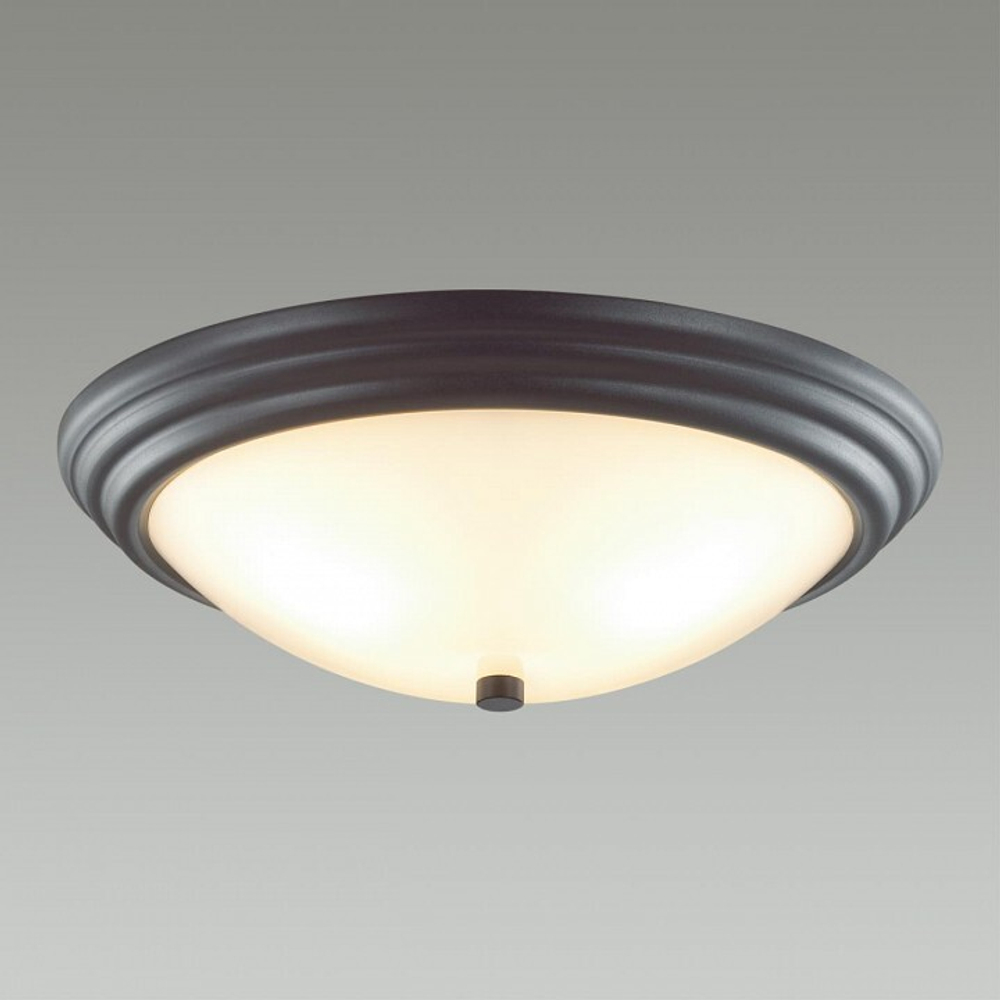 Накладной светильник Lumion 5263/3C