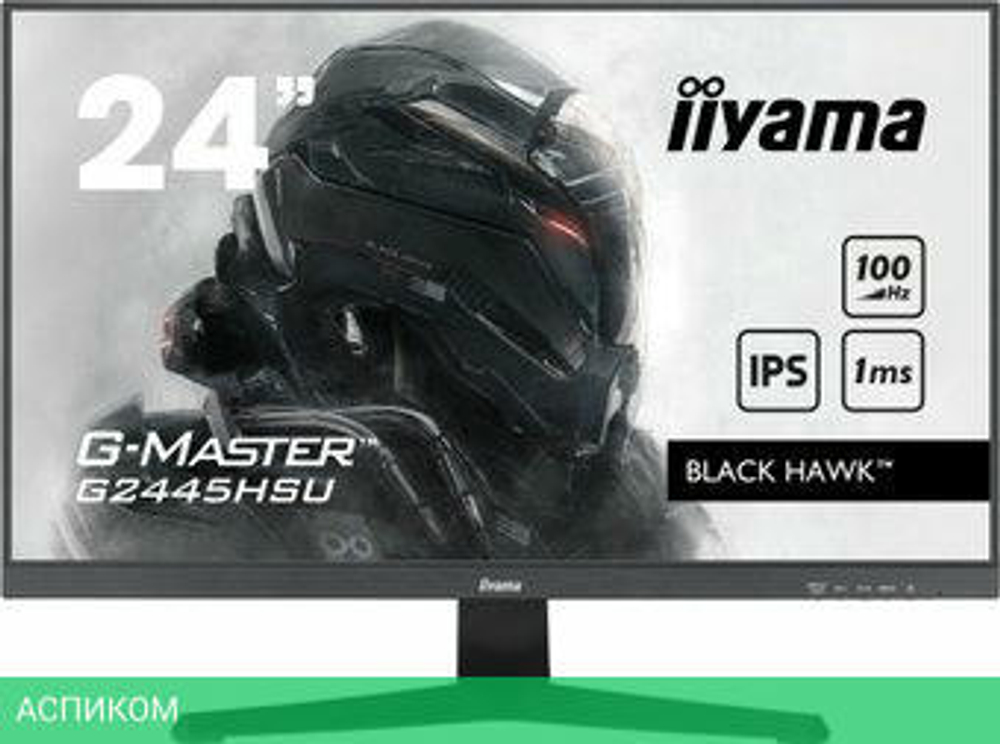 Игровой монитор Iiyama G-Master Black Hawk G2445HSU-B1