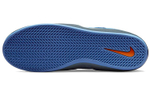 Кроссовки Nike Sb Ishod
