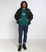 Худи Tommy Jeans - зеленый(DM0DM15021)