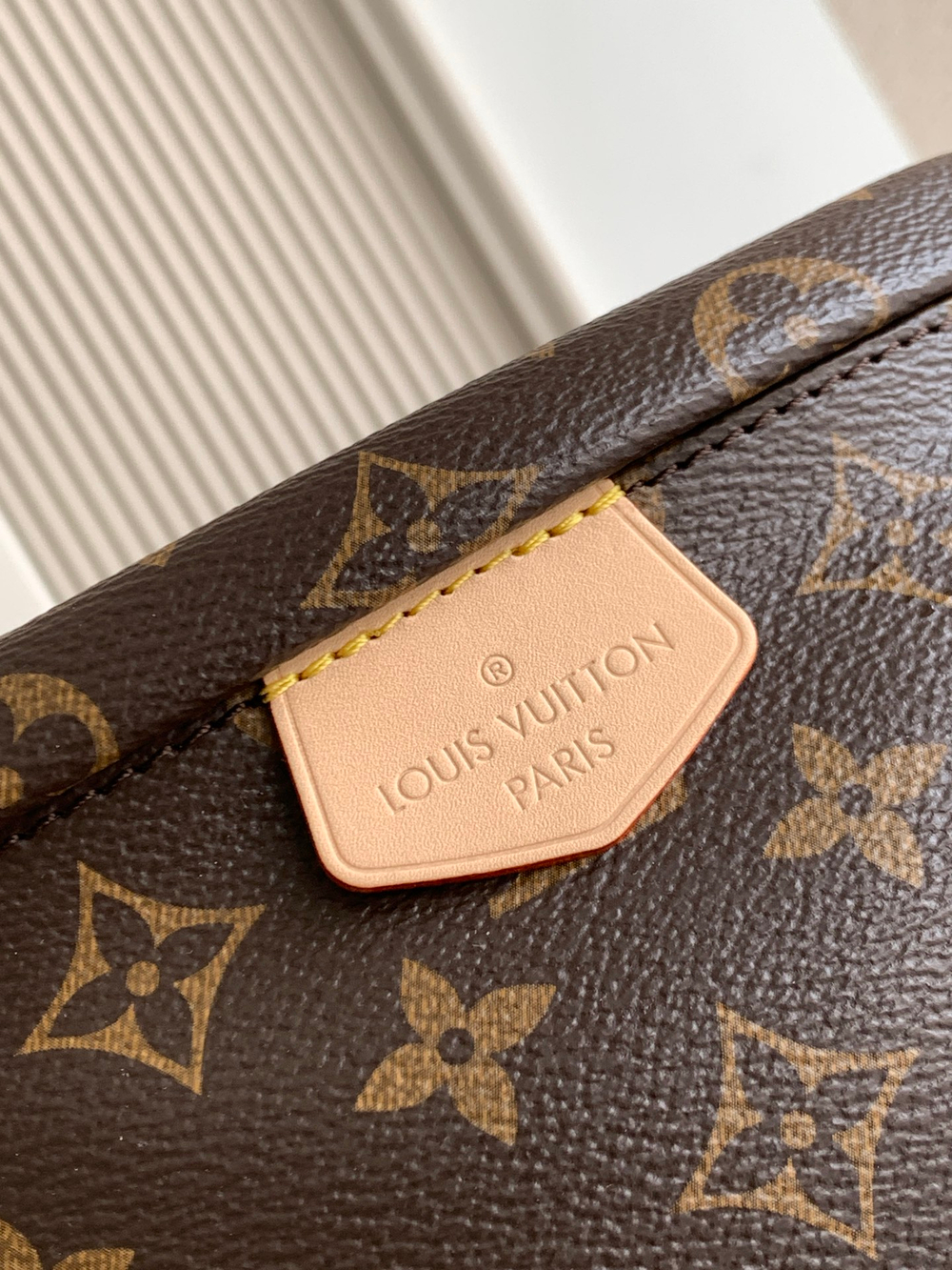 Louis Vuitton Bumbag