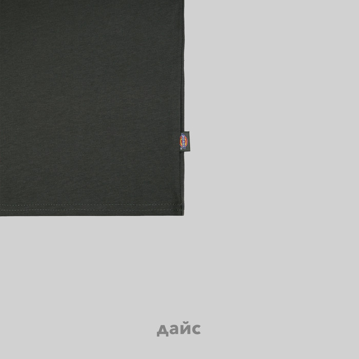 Футболка мужская Dickies Mapleton артикул:DK0A4XDBOGX1 - купить в магазине Дайс