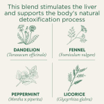 Traditional Medicinals, Organic EveryDay Detox, одуванчик, без кофеина, 16 чайных пакетиков в упаковке, 24 г (0,85 унции)