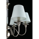 Подвесная люстра Aployt Perla APL.731.03.06