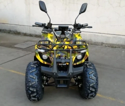 Электроквадроцикл Green Camel Атакама T320 (48V 1000W R8 Дифференциал)