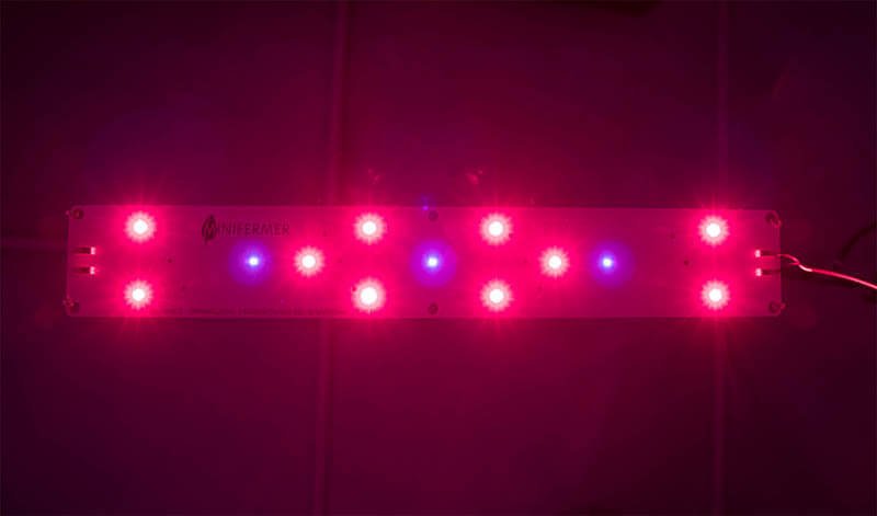 Фитолампа для растений LED Booster Line Osram 600 nm + UV 385 nm / 20W