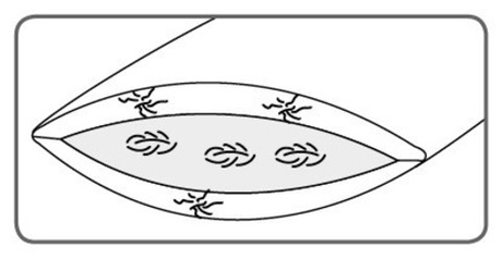 Подушка трехкамерная 50х70 Christian Fischbacher Wengen 8016 Medium