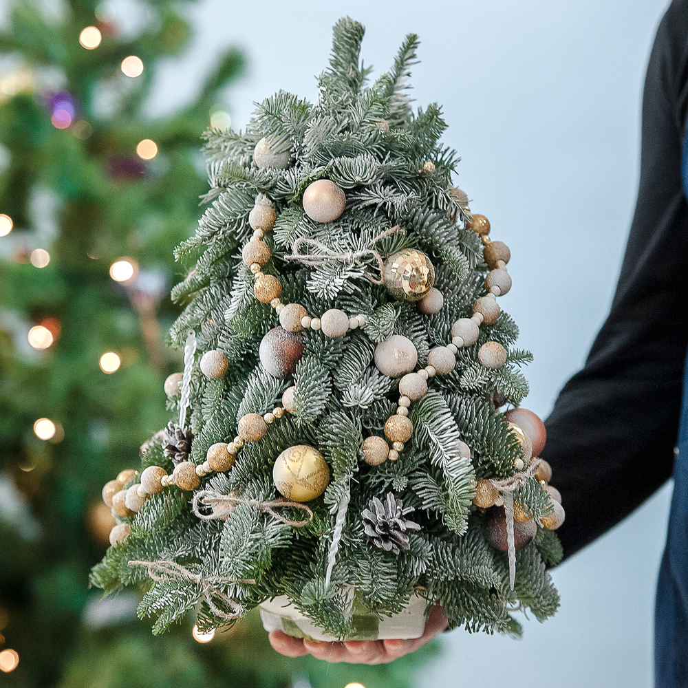 Элегантная елка из нобилиса с золотыми украшениями