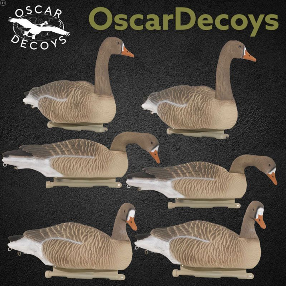 Белолобый гусь OSCAR DECOYS Floater Speckbelly Goose Мягкий пластик (плавающий) FSG-3D(6шт)