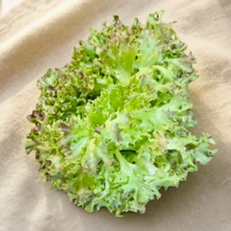 Фриссе БИО / 150 гр