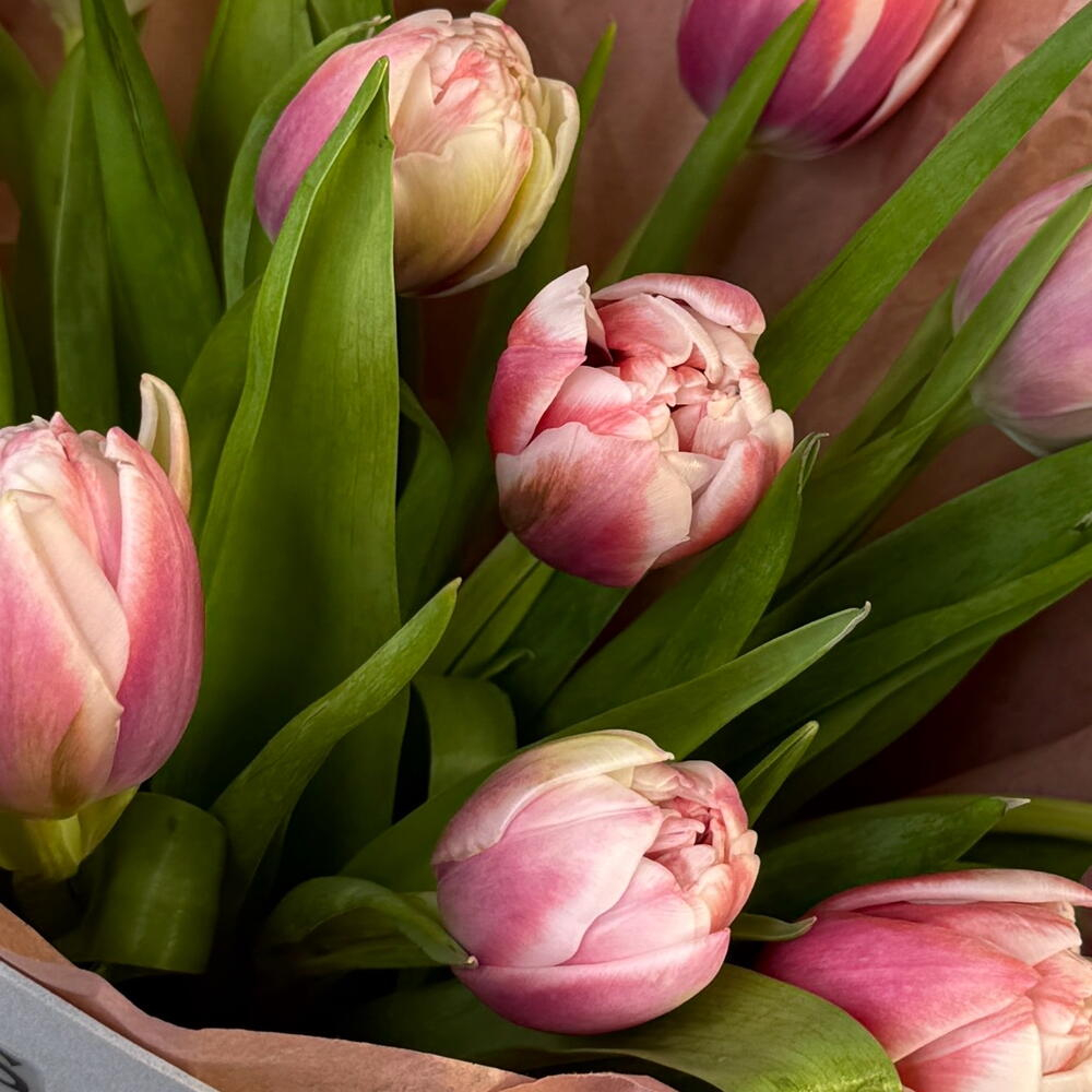 Букет из пионовидных тюльпанов 15 шт