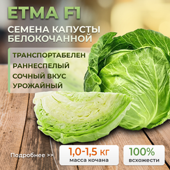 ЕТМА F1 семена капусты белокочанной (Rijk Zwaan | Alexagro)
