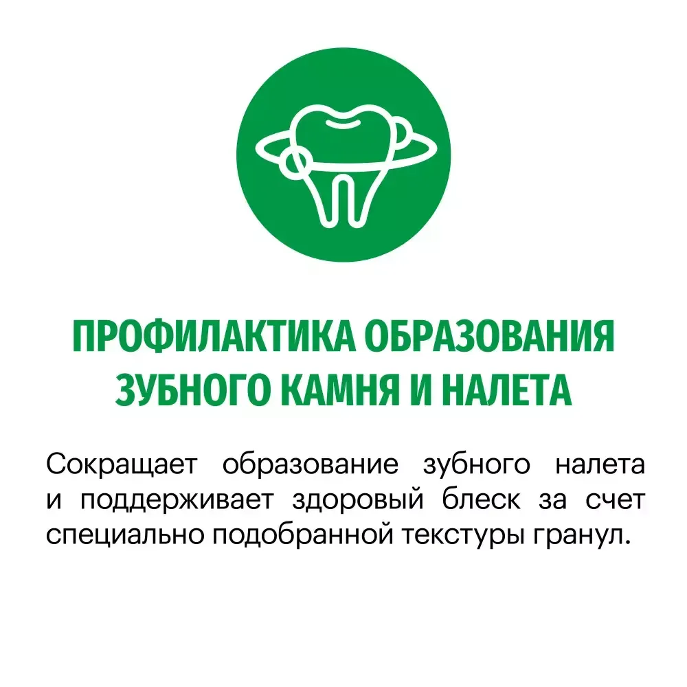 Сухой корм Karmy Mini Adult для взрослых собак мелких пород, с индейкой