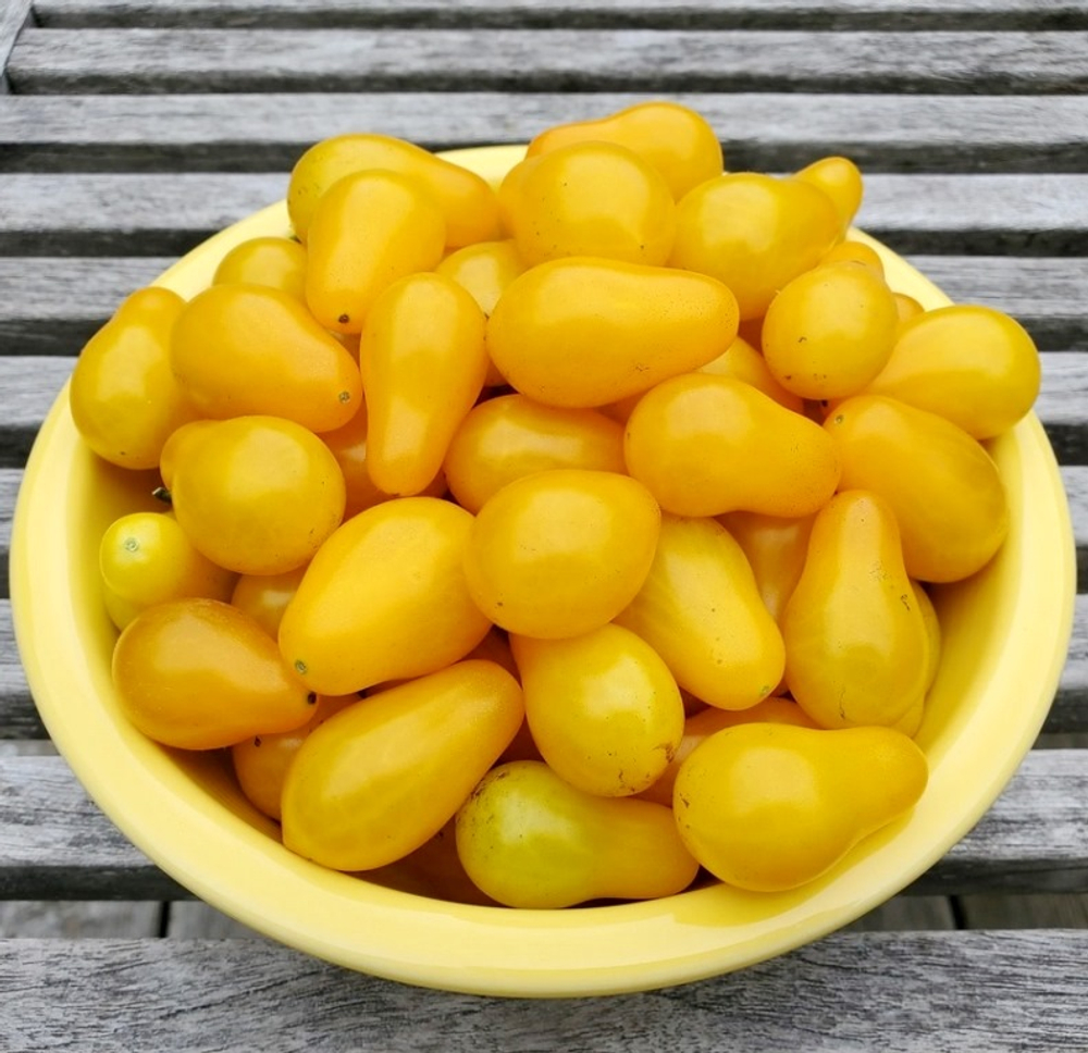 Черри Помидоры Yellow Pear - Жёлтая Груша