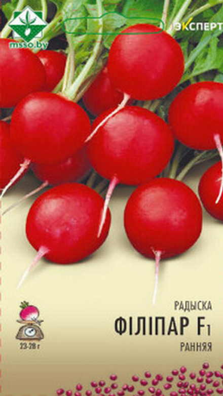 Редис "Филипар F1" 1г, Нидерланды.