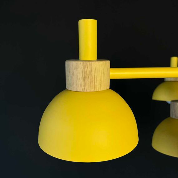 Подвесная люстра Imperium Loft Fanta 101568-26