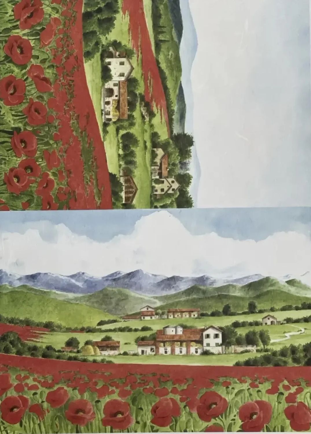 рисовая карта CO 35 (35*50см)