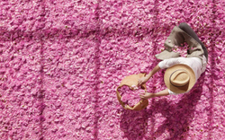 Dior in Bloom