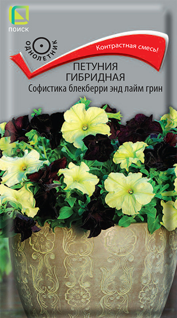 Петуния гибридная Софистика Блекберии энд Лайм Грин