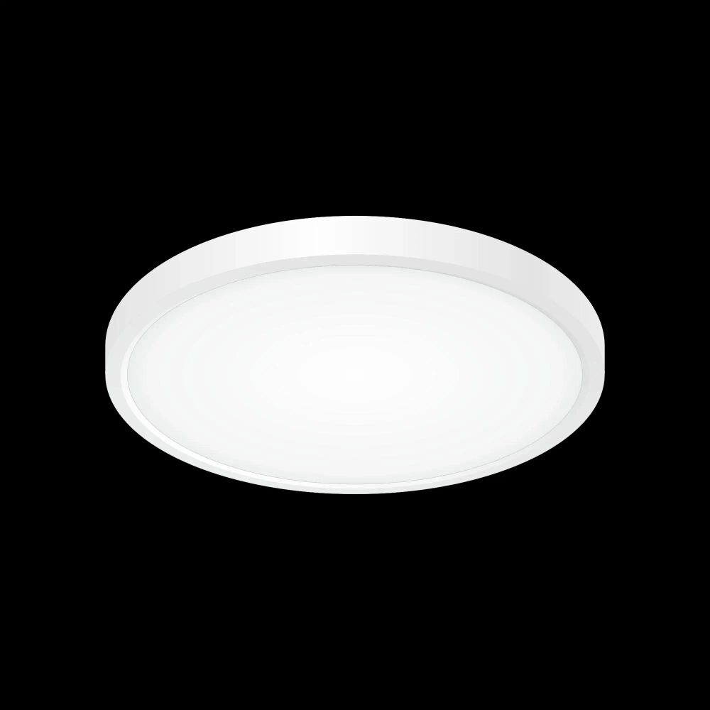 Citilux Бейсик CL738240V Светильник накладной Белый