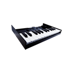 Roland Boutique K-25m
