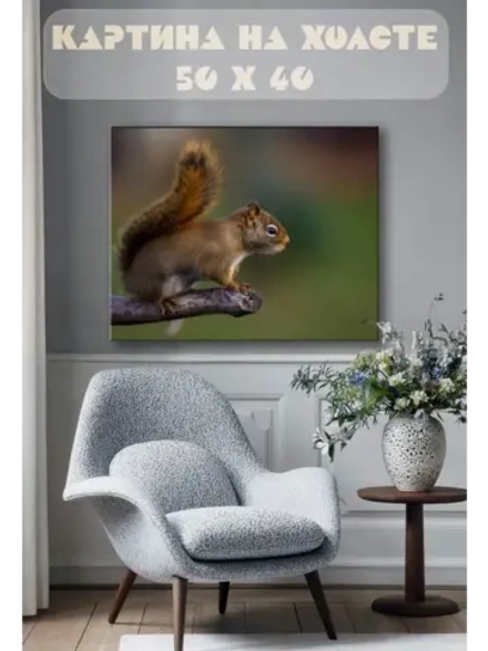 Картина на стену 40 X 50 Белка