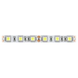 Светодиодная лента ЭРА LS5050-14,4-60-12-6500K-IP20-2year-5m холодный белый | Светодиодные ленты 12В 2 год