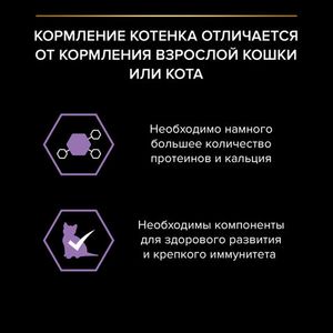 Влажный корм Pro Plan Healthy Start для котят, беременных и кормящих кошек, с индейкой в соусе, 85гр