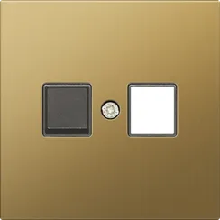 Donel R98 METAL матовое золото Накладка для розетки RJ45/RJ11, одиночная, серия DA