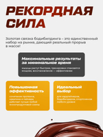 Протеин Молочный Шоколад 900г + Креатин без вкуса 60 порций + Гейнер Шоколад с лесным орехом 1500г
